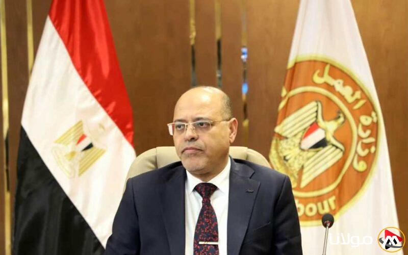 وزير العمل: “استمارة 6” في القانون الجديد تحمل دلالات مختلفة عن استخدامها السابق في إنهاء خدمات العمال بشكل فردي.