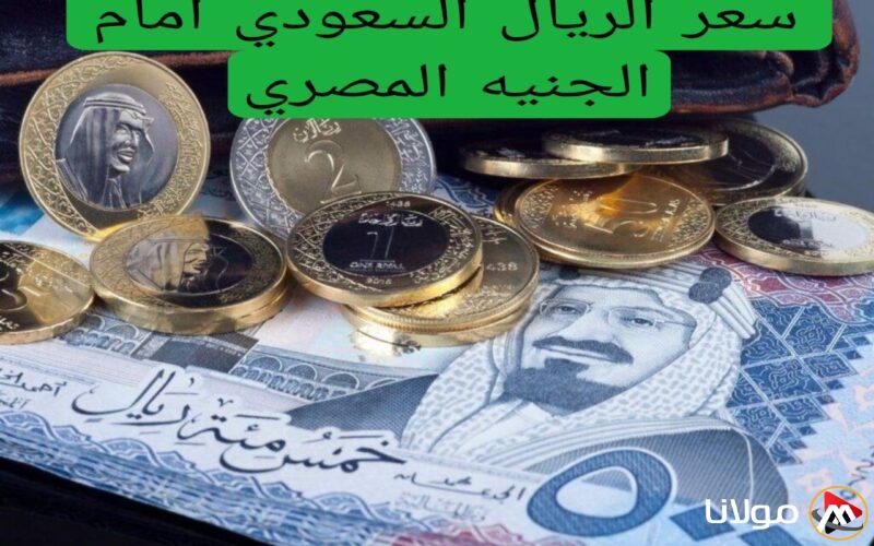 سعر الريال السعودي أمام الجنيه المصري اليوم في جميع البنوك.. زيادة كبيرة قبل العيد