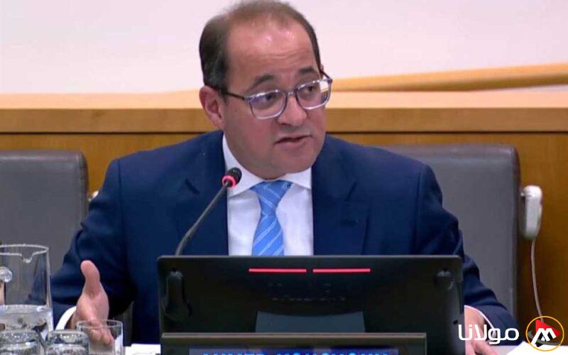 وزير المالية: الاقتصاد المصري بدأ يظهر علامات تحسن أفضل