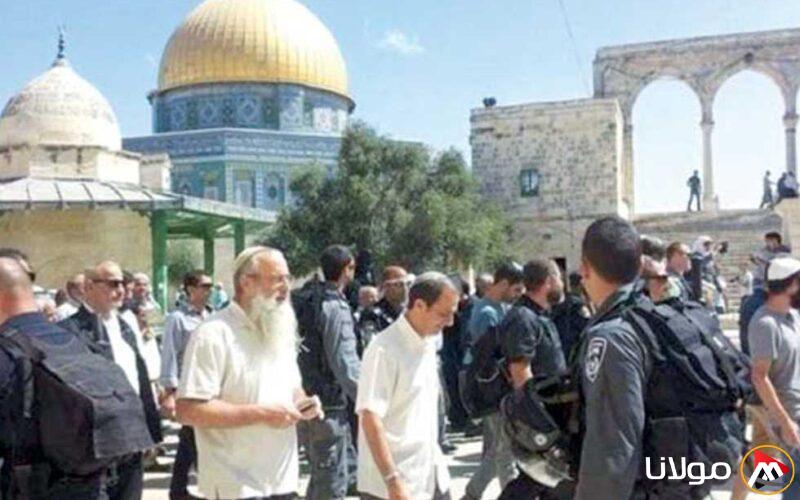 آلاف المستوطنين يدخلون المسجد الأقصى وأرض مقبرة باب الرحمة في القدس (تفاصيل)