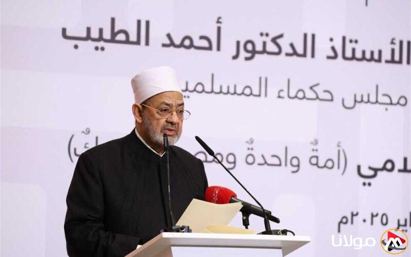هل كان لتدخل شيخ الأزهر دور في انتخابات الصحفيين بضم البلشي لمجلس كلية الإعلام؟ (تفاصيل)