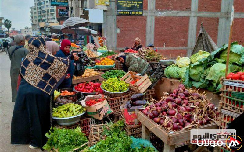 أسعار الطماطم والخيار والخضروات في الأسواق اليوم، الأربعاء 16 أبريل 2025