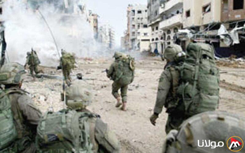 المرصد الأورومتوسطي: هولندا تشارك في دعم انتهاكات إسرائيل من خلال الكلاب العسكرية