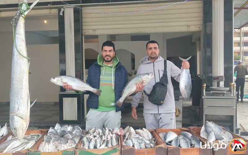 أسعار الأسماك والمنتجات البحرية في أسواق الإسكندرية بتاريخ السبت 26 أبريل 2025