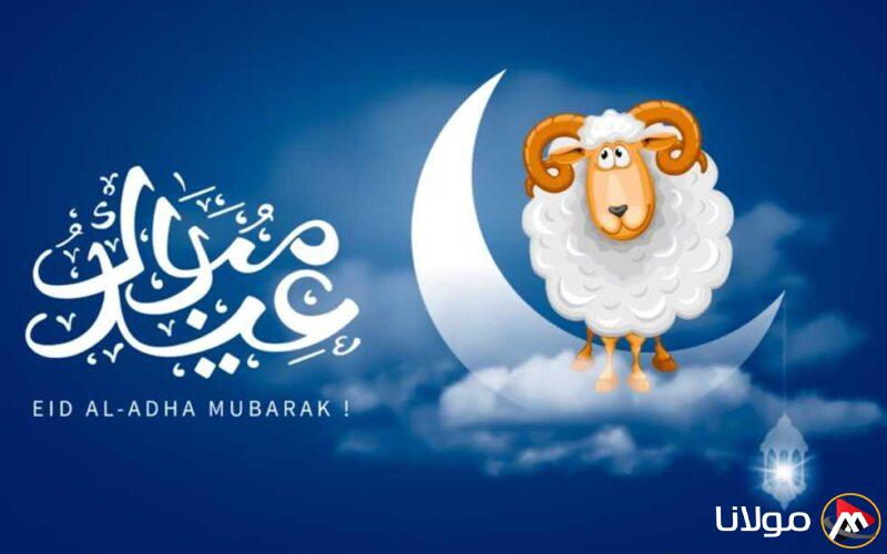 رسميًا: تاريخ عيد الأضحى 2025 في مصر وأطول فترة عطلة سنوية (تفاصيل)