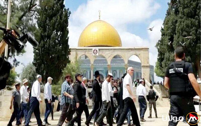 عشرات من المستوطنين يهاجمون المسجد الأقصى