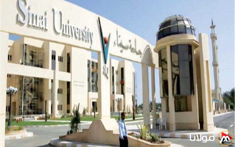 ورشة عمل حول الذكاء الاصطناعي في جامعة العريش يوم الخميس القادم
