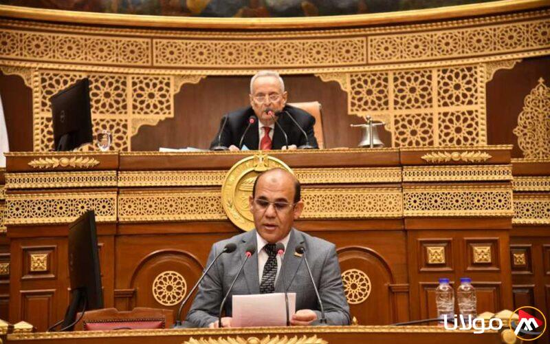 «مجلس الشيوخ» يناقش سُبل الحكومة لتعزيز نظام النافذة الواحدة ومتطلبات التخليص الجمركي