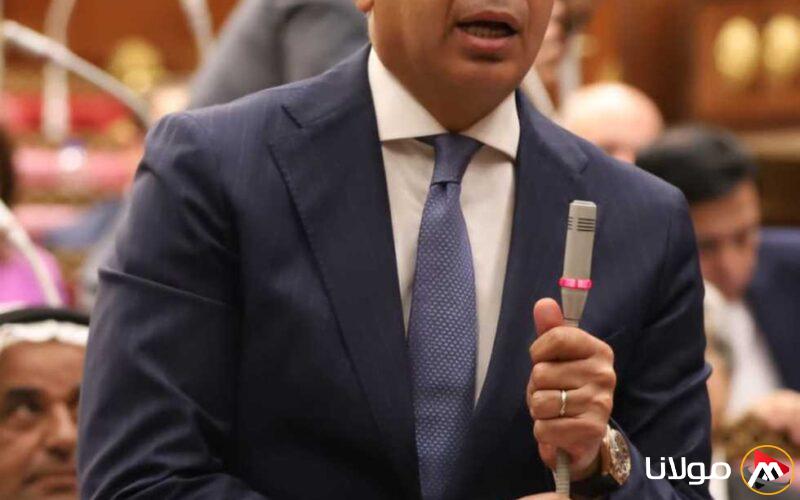 رئيس «اللجنة الاقتصادية بمجلس الشيوخ»: أطول فترة للإفراج الجمركي في العالم.. والمليارات تُصرف لمكاتب التخليص بدلاً من خزينة الدولة