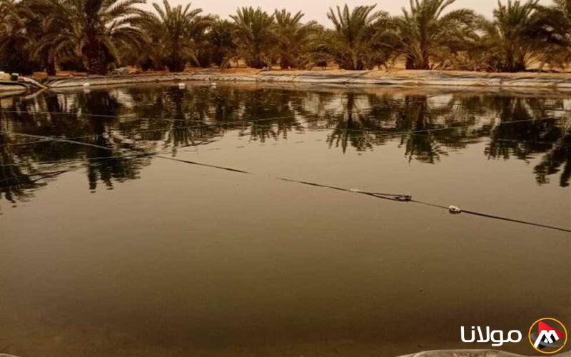 وفاة عامل بعد سقوطه في بئر مياه داخل مزرعة نخل بالمنيا