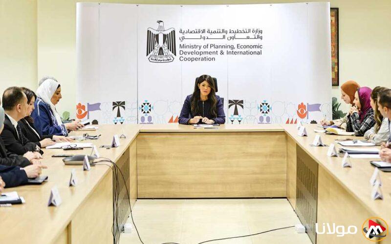 «المشاط» ترأس اجتماعًا تمهيديًا للجنة المصرية المجرية للتعاون في المجالات الاقتصادية والعلمية والفنية