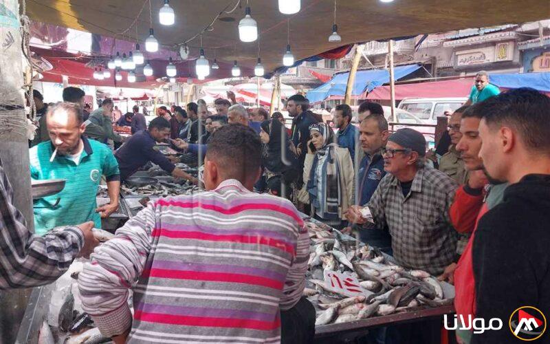 أسعار الأسماك والجمبري والمأكولات البحرية ليوم الجمعة 18 أبريل 2025