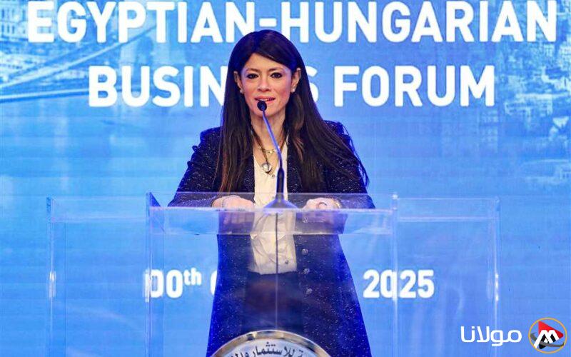 «المشاط»: نحث الشركات المجرية على البحث عن فرص استثمارية في مختلف القطاعات