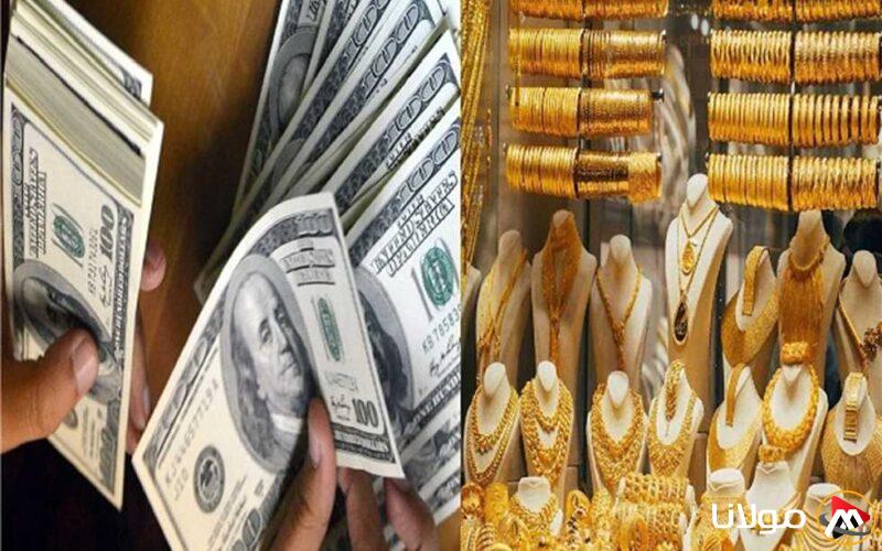 زيادة أسعار الذهب الفورية وهبوط قيمة الدولار لأول مرة خلال 21 شهرًا