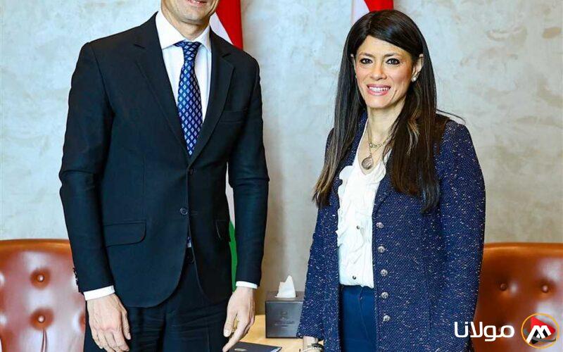 وزيرة التخطيط: الاقتصاد المصري يمتاز بوزن إقليمي ومميزات تنافسية في مجالات التجارة والاستثمار