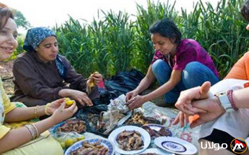 إعلان رسمي: تاريخ إجازة شم النسيم في مصر لعام 2025