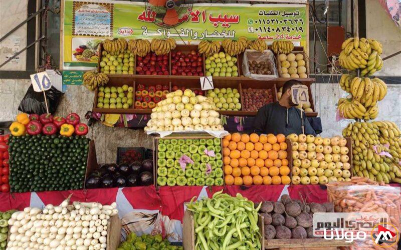 أسعار الموز والتفاح والفواكه في الأسواق اليوم، الأحد 13 أبريل 2025