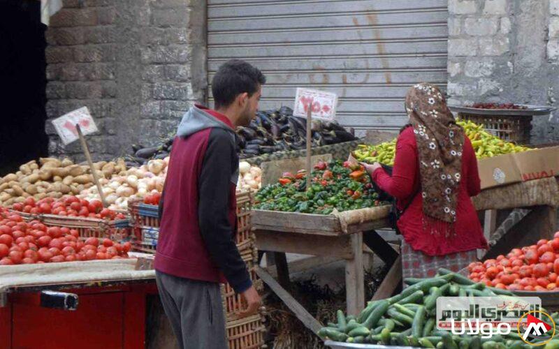 أسعار الخضروات في أسواق الإسكندرية يوم السبت 19 أبريل 2025: الليمون بـ120 جنيهًا