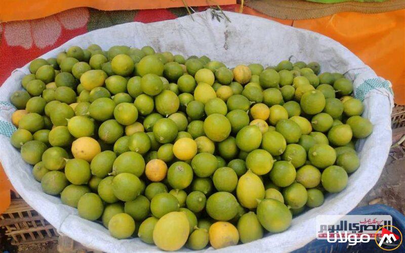 تواصلوا مع بدائل الليمون.. شعبة الخضراوات توصي بالخيارات المتاحة بعد زيادة الأسعار