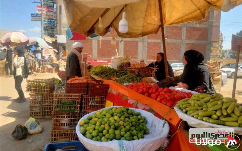 أسعار الخضروات في مطروح اليوم الأحد 27 إبريل 2025.. كيلو الأضاليا بـ 80 جنيهًا