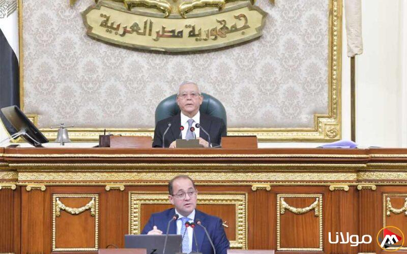 وزير المالية: نهدف إلى تنفيذ توصيات البرلمان.. والقطاع الخاص يتولى القيادة الآن
