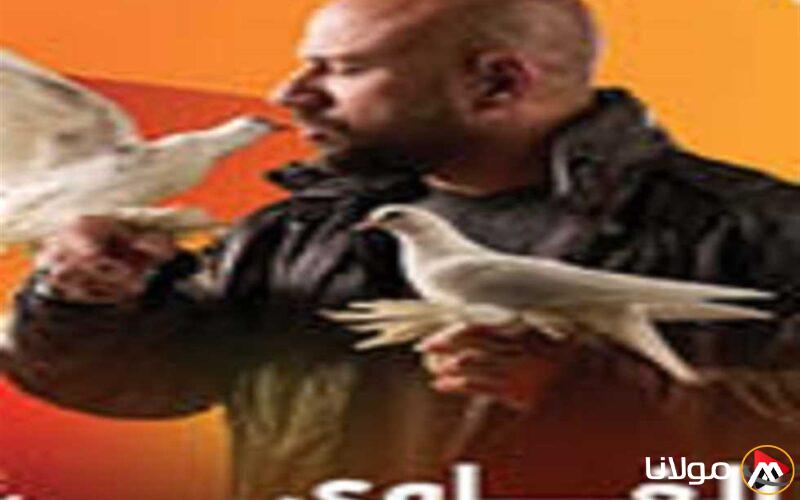 الأكثر شعبية على WATCH IT