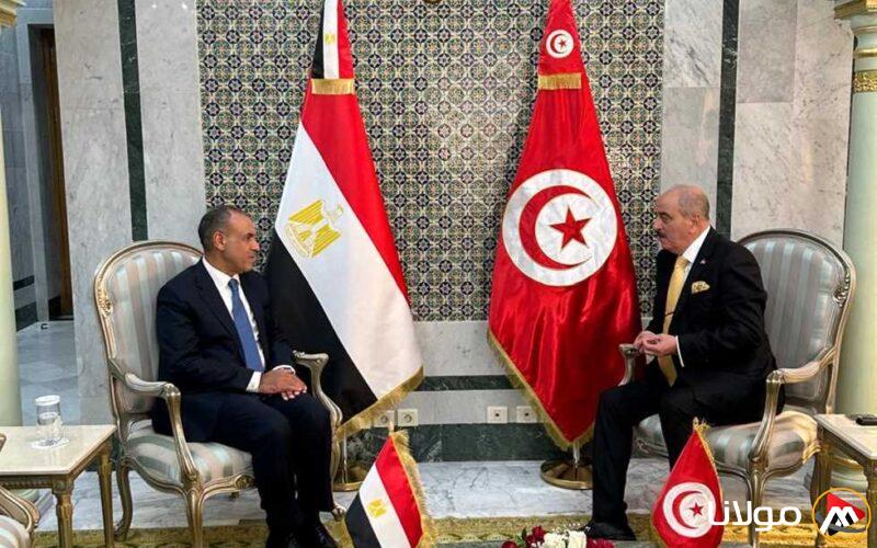 توافق مصري تونسي على أهمية دعم العملية السياسية الليبية دون ضغوط خارجيّة