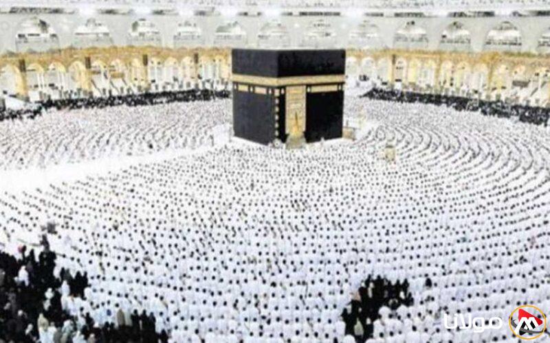 استعدادًا لموسم الحج: “فرصة 48 ساعة” لشركات السياحة لاستكمال المعلومات وإصدار التأشيرات