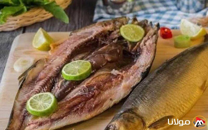 قبل تناول الرنجة: نصائح من المركز القومي للبحوث للحد من البكتيريا في شم النسيم