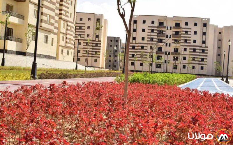 إقبال واسع من سكان مدينة أكتوبر الجديدة على الحدائق والمنتزهات للاحتفال بأعياد الربيع