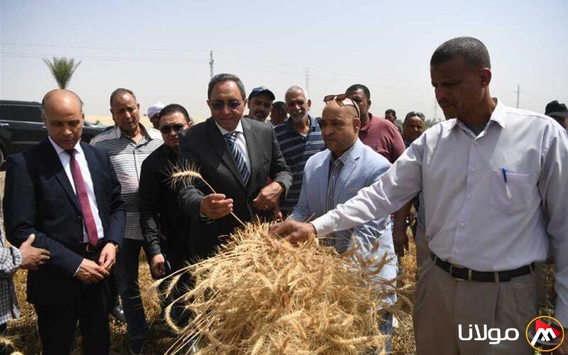 محافظ قنا يعلن انطلاق موسم حصاد القمح من مزرعة في دندرة ويستعرض الصوامع.