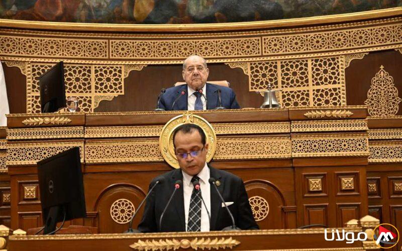 مجلس الشيوخ يستعرض تطبيق التحول الصناعي الأخضر في شركات القطاع العام