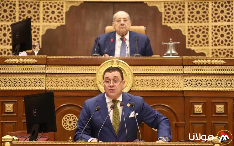 «مجلس الشيوخ» يستعرض استخدام الأصول العقارية في القطاع العام للأعمال