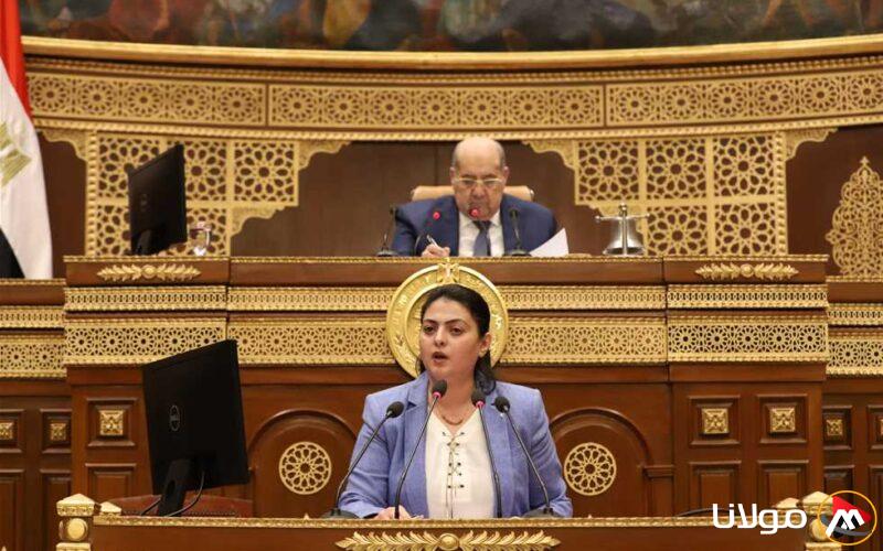 «مجلس الشيوخ» يبدأ بحث إعادة تنظيم شركات القطاع العام