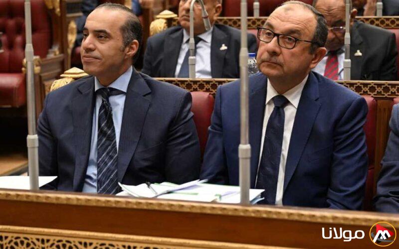 رئيس “لجنة الوفد البرلمانية” يطلب من وزير قطاع الأعمال تقديم إجابات صادقة توضح حالة الشركات.