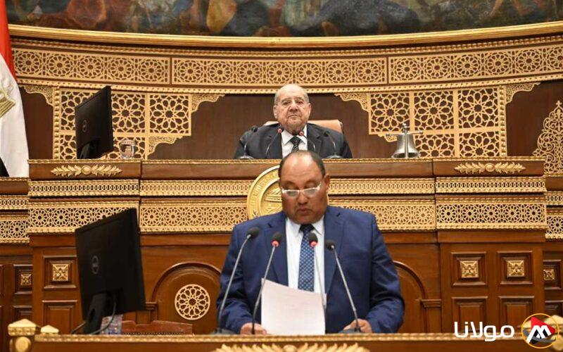 بفضل عمليات التصنيع.. نائب وزير الزراعة: مصر تحقق مراتب متقدمة في تصدير الفراولة المجمدة