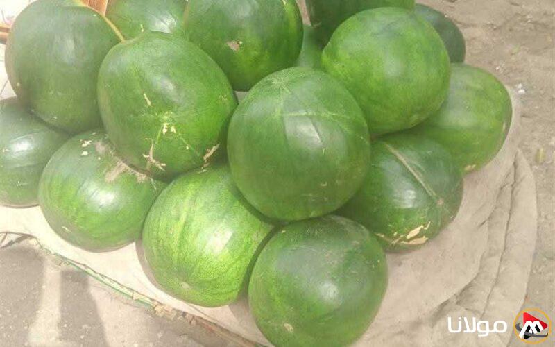 «البطيخة بسعر 150».. أسعار الفواكه والخضروات اليوم السبت 26 أبريل في دمياط