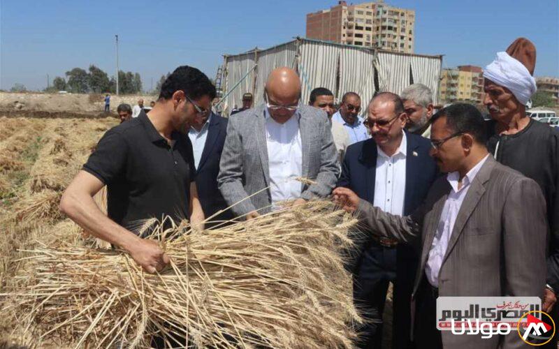 محافظ القليوبية يتفقد صوامع القمح ويعلن عن توريد 5170 طنًا من المحصول المبشر هذا العام (صور)