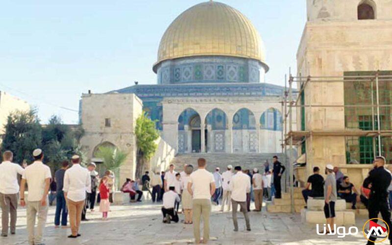 مستوطنون يقتحمون الأقصى والاحتلال يعتقل سبعة فلسطينيين من الخليل