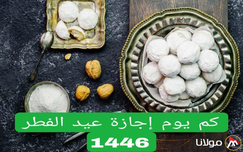 إعلان تمديد إجازة عيد الفطر في السعودية 2025 لبعض الفئات لتمتد فترة العطلة.. كم عدد أيام إجازة العيد؟