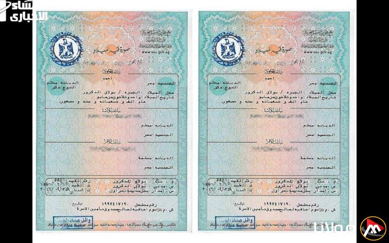 شهادة الميلاد الرقمية للأسر الحاضنة: كيف تسهم في تحسين خدمات الحكومة عبر بوابة مصر الرقمية