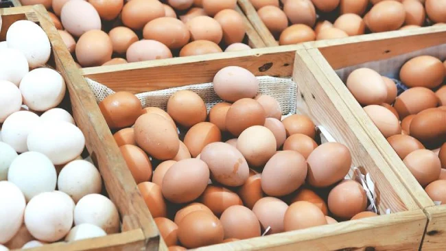 سعر كرتونة البيض اليوم الاثنين 21 أبريل 2023: انخفاض بنسبة 3.5% وتأثيره على السوق