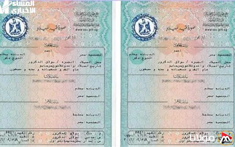 احصل على شهادة ميلاد 2025 من منزلك بسهولة عبر بوابة مصر الرقمية دون الحاجة للخروج!