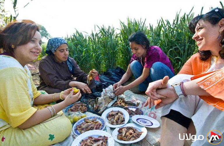 الحرية في تناول الرنجة والفسيخ.. تفاصيل موعد عطلة شم النسيم 2025