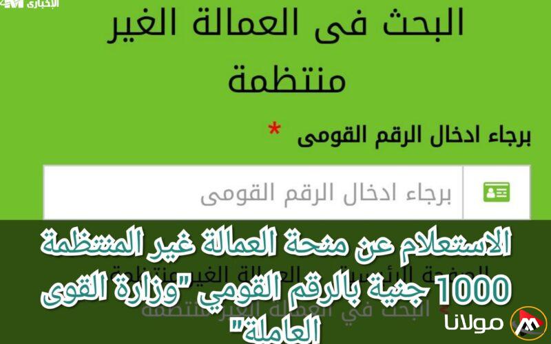 احصل على دعمك باسمك! تعرف على منحة العمالة لشهر مايو 2025 قبل أن تفوتك الفرصة!