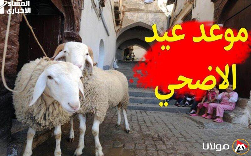 العيد يقترب.. تاريخ عيد الأضحى 2025 – 1446 في مصر والدول العربية وفقًا للحسابات الفلكية، احجز عطلتك الآن!