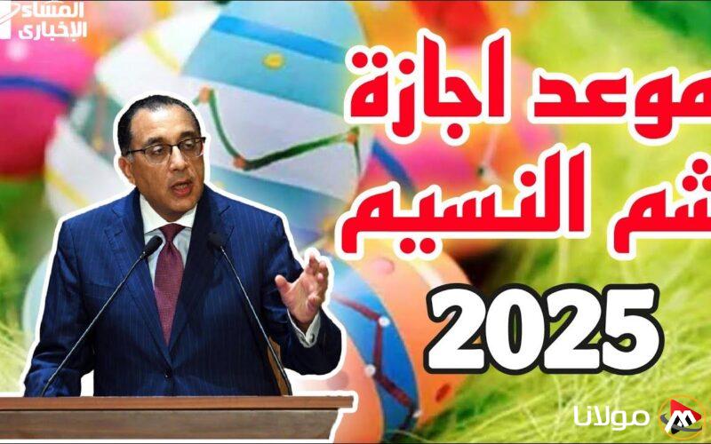 الإجازة قادمة.. موعد إجازة شم النسيم 2025 بالتاريخ واليوم قد حان وقت التجمع.