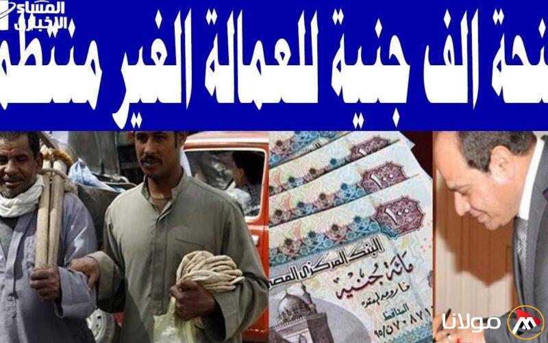 اكتشف كل ما تحتاجه حول منحة العمالة غير المنتظمة 2025 من وزارة القوى العاملة باستخدام رقمك الآن!