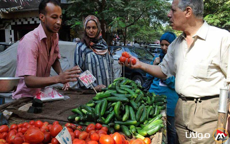 بعد زيادة أسعار السولار.. رئيس جمعية الشحن يكشف عن نسبة الارتفاع في أجور النقل