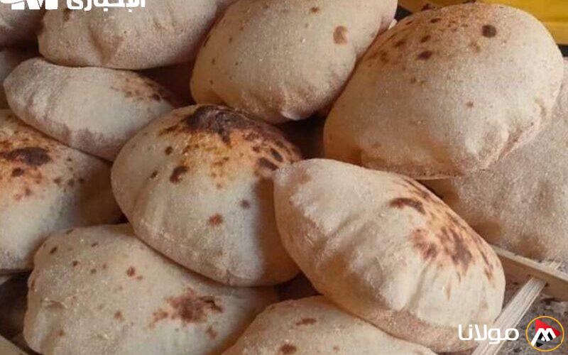 كم سعر رغيف الخبز؟ تعرف على تكلفة رغيف العيش في مصر بعد تحديد الأسعار النهائية.